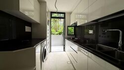Belgravia Ace (D28), Semi-Detached #568248021